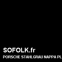 Teinte siège cuir PORSCHE