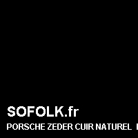 Teinte siège cuir PORSCHE