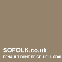 Leather seat color RENAULT
