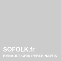 Teinte si&egrave;ge cuir RENAULT