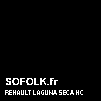 Teinte siège cuir RENAULT