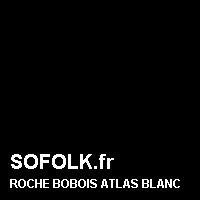 Teinte canapé cuir ROCHE BOBOIS