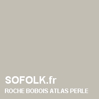ROCHE BOBOIS: leather sofa colour