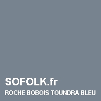 ROCHE BOBOIS: leather sofa colour