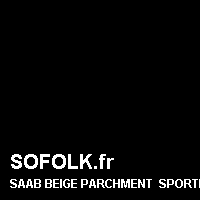 Teinte siège cuir SAAB