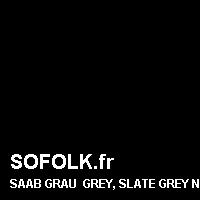 Teinte siège cuir SAAB