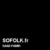 Teinte siège cuir SAAB