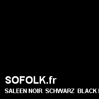 Teinte siège cuir SALEEN