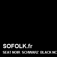 Teinte siège cuir SEAT