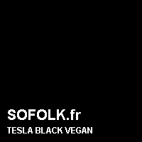 Teinte siège cuir TESLA