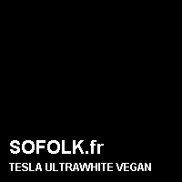 Teinte siège cuir TESLA