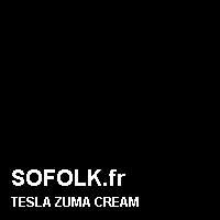 Teinte siège cuir TESLA