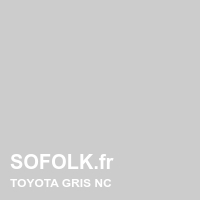 Teinte siège cuir TOYOTA