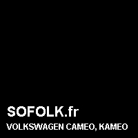 Teinte siège cuir VOLKSWAGEN
