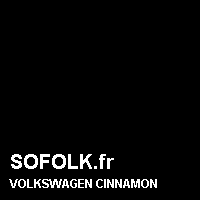 Teinte siège cuir VOLKSWAGEN