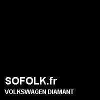 Teinte siège cuir VOLKSWAGEN