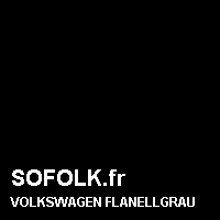 Teinte siège cuir VOLKSWAGEN