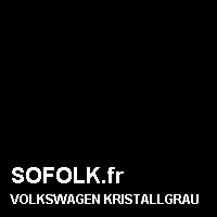 Teinte siège cuir VOLKSWAGEN