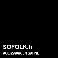 Teinte siège cuir VOLKSWAGEN