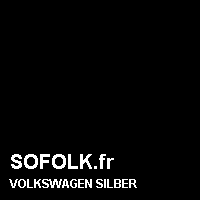 Teinte siège cuir VOLKSWAGEN