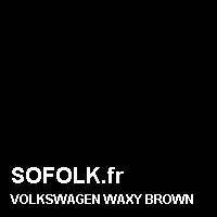 Teinte siège cuir VOLKSWAGEN
