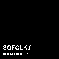 Teinte siège cuir VOLVO