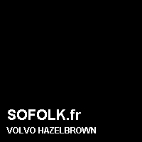Teinte siège cuir VOLVO