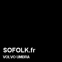 Teinte siège cuir VOLVO